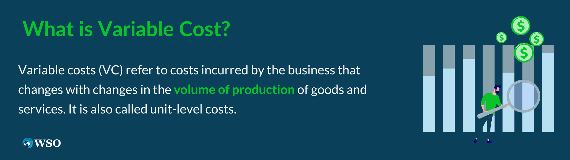 What is Variable Cost?